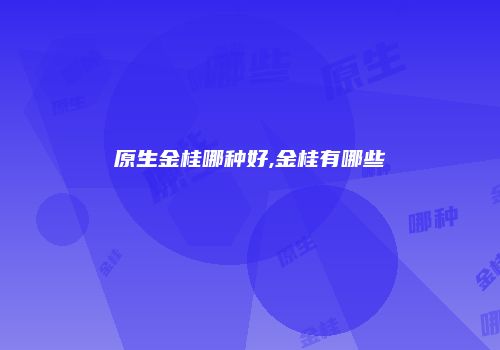 原生金桂哪种好,金桂有哪些