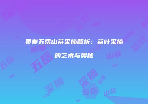 灵寿五岳山茶采摘解析：茶叶采摘的艺术与奥秘
