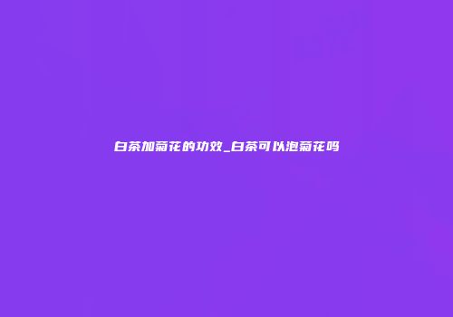 白茶加菊花的功效_白茶可以泡菊花吗