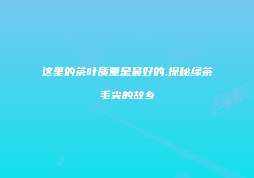 这里的茶叶质量是最好的,探秘绿茶毛尖的故乡