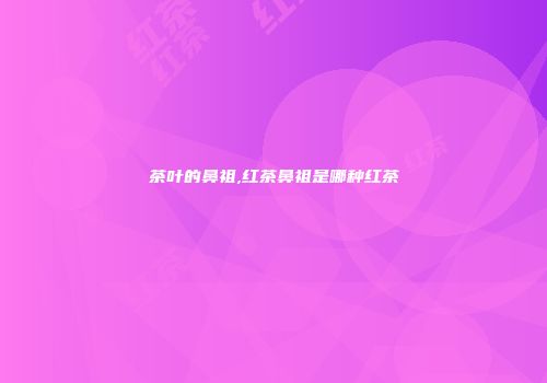 茶叶的鼻祖,红茶鼻祖是哪种红茶