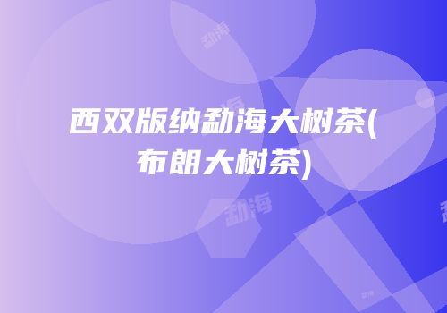 西双版纳勐海大树茶(布朗大树茶)
