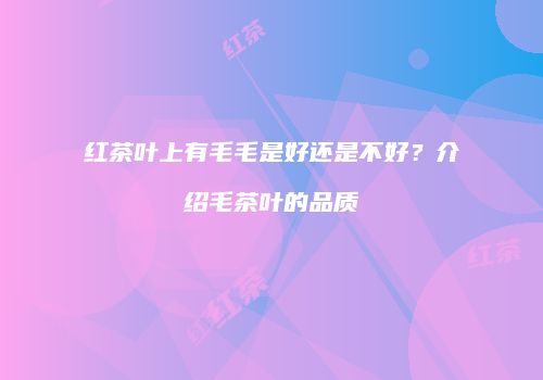 红茶叶上有毛毛是好还是不好？介绍毛茶叶的品质
