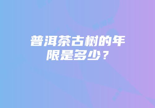 普洱茶古树的年限是多少？
