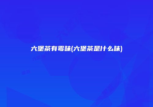六堡茶有霉味(六堡茶是什么味)