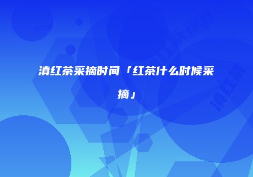 滇红茶采摘时间「红茶什么时候采摘」