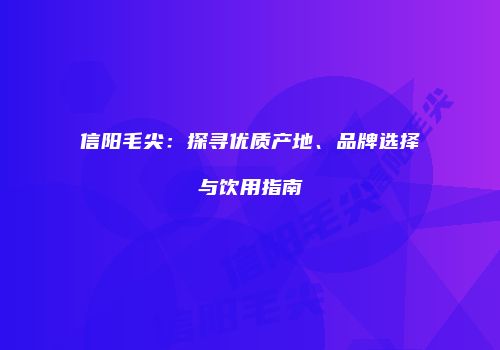信阳毛尖：探寻优质产地、品牌选择与饮用指南