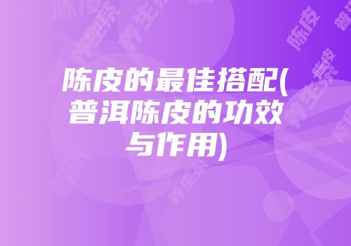 陈皮的最佳搭配(普洱陈皮的功效与作用)