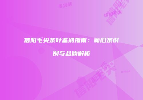 信阳毛尖茶叶鉴别指南：新旧茶识别与品质解析