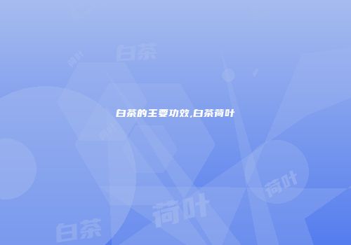 白茶的主要功效,白茶荷叶