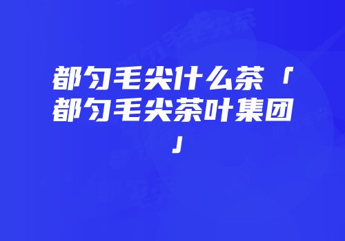 都匀毛尖什么茶「都匀毛尖茶叶集团」