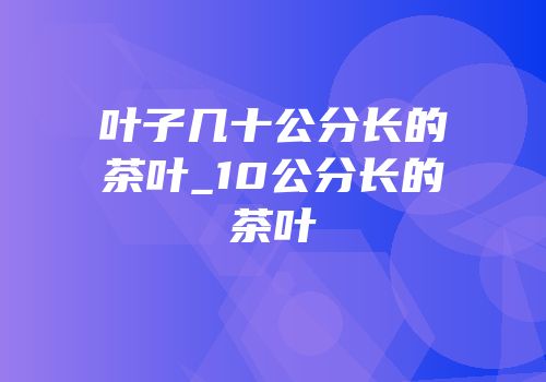 叶子几十公分长的茶叶_10公分长的茶叶