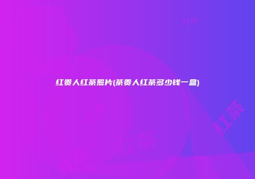 红贵人红茶照片(茶贵人红茶多少钱一盒)