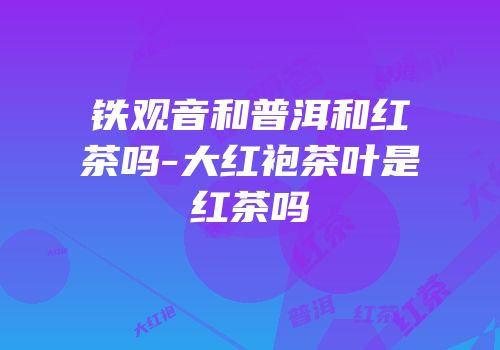 铁观音和普洱和红茶吗-大红袍茶叶是红茶吗