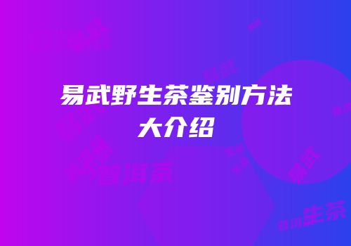 易武野生茶鉴别方法大介绍