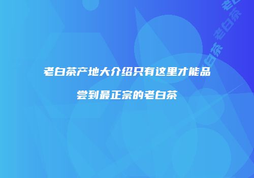 老白茶产地大介绍只有这里才能品尝到最正宗的老白茶