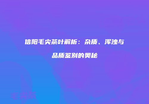 信阳毛尖茶叶解析：杂质、浑浊与品质鉴别的奥秘