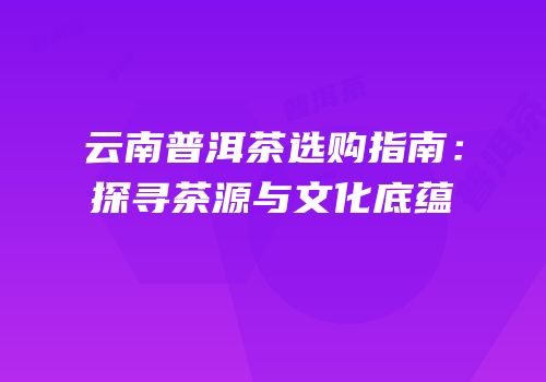 云南普洱茶选购指南：探寻茶源与文化底蕴