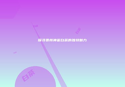 探寻贵州神雀白茶的独特魅力