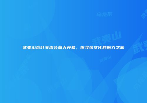 武夷山茶叶交流会盛大开幕，探寻茶文化的魅力之旅