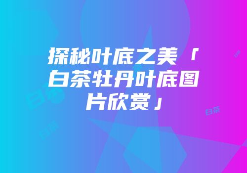 探秘叶底之美「白茶牡丹叶底图片欣赏」