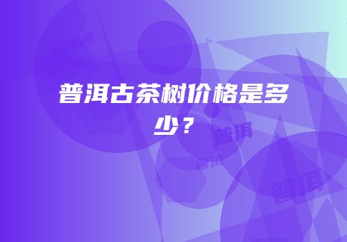 普洱古茶树价格是多少？