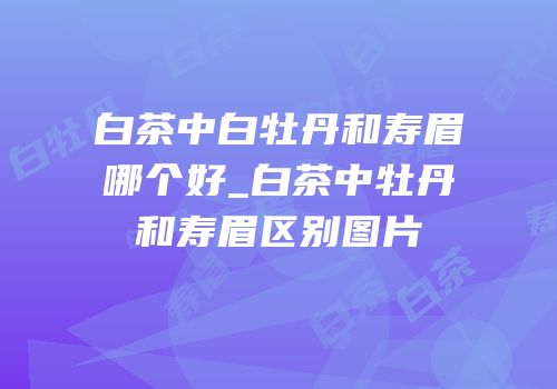 白茶中白牡丹和寿眉哪个好_白茶中牡丹和寿眉区别图片