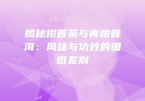 揭秘柑普茶与青柑普洱：风味与功效的细微差别