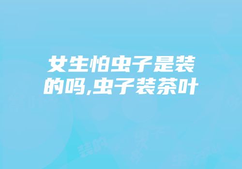 女生怕虫子是装的吗,虫子装茶叶