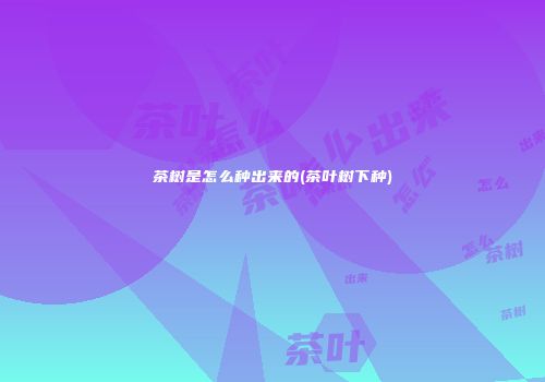 茶树是怎么种出来的(茶叶树下种)