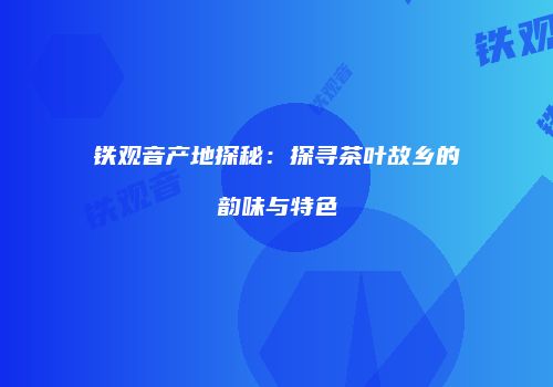 铁观音产地探秘：探寻茶叶故乡的韵味与特色