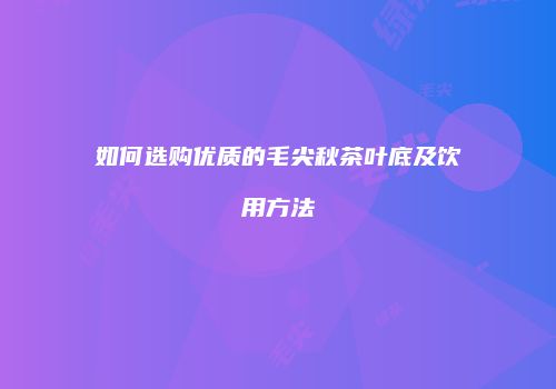 如何选购优质的毛尖秋茶叶底及饮用方法