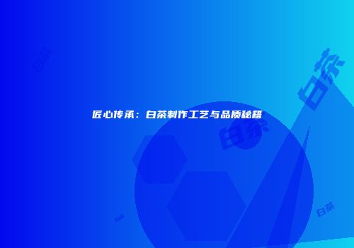 匠心传承：白茶制作工艺与品质秘籍