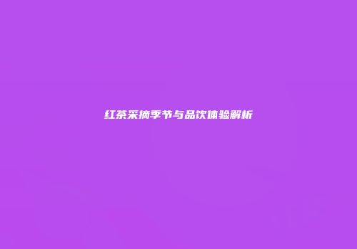红茶采摘季节与品饮体验解析