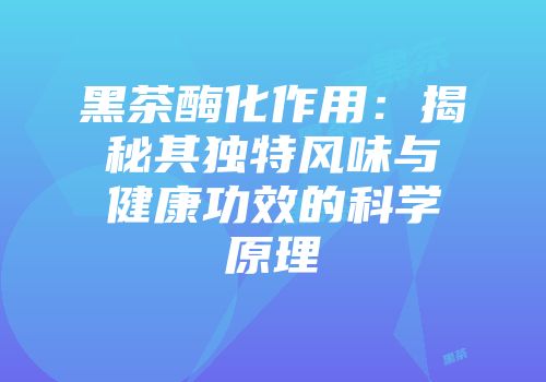 黑茶酶化作用：揭秘其独特风味与健康功效的科学原理