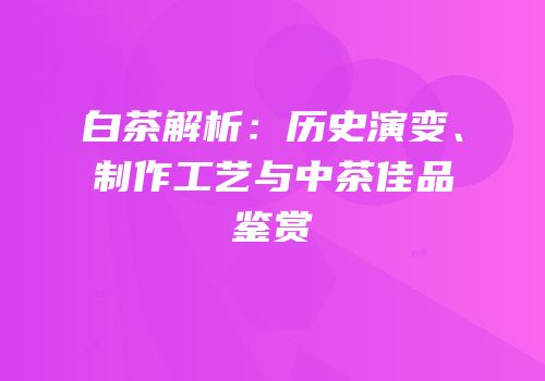白茶解析：历史演变、制作工艺与中茶佳品鉴赏