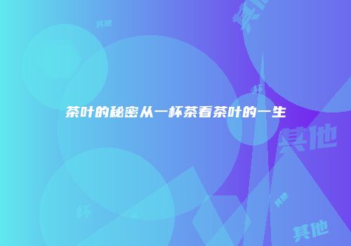 茶叶的秘密从一杯茶看茶叶的一生