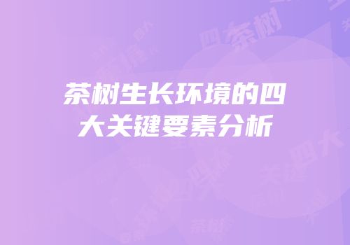 茶树生长环境的四大关键要素分析