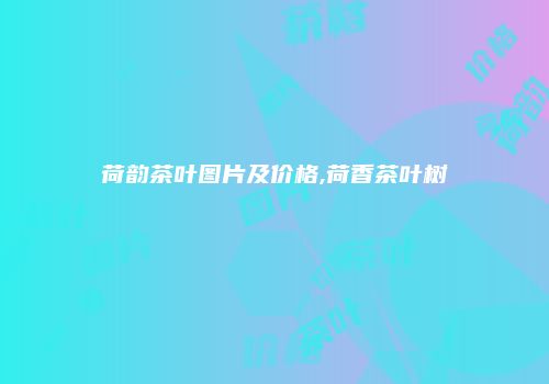 荷韵茶叶图片及价格,荷香茶叶树