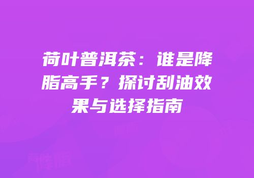 荷叶普洱茶：谁是降脂高手？探讨刮油效果与选择指南