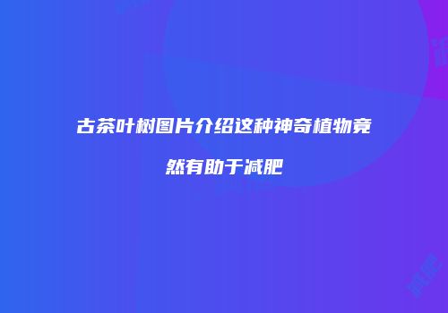 古茶叶树图片介绍这种神奇植物竟然有助于减肥