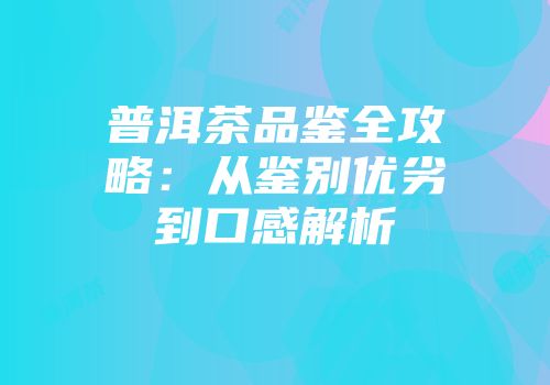 普洱茶品鉴全攻略：从鉴别优劣到口感解析