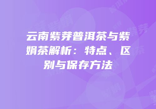 云南紫芽普洱茶与紫娟茶解析：特点、区别与保存方法