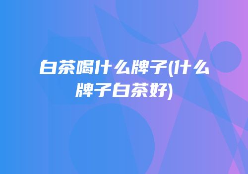 白茶喝什么牌子(什么牌子白茶好)