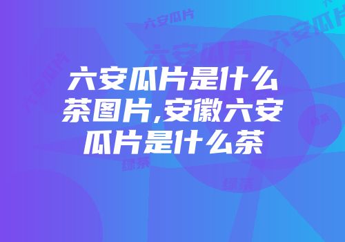 六安瓜片是什么茶图片,安徽六安瓜片是什么茶