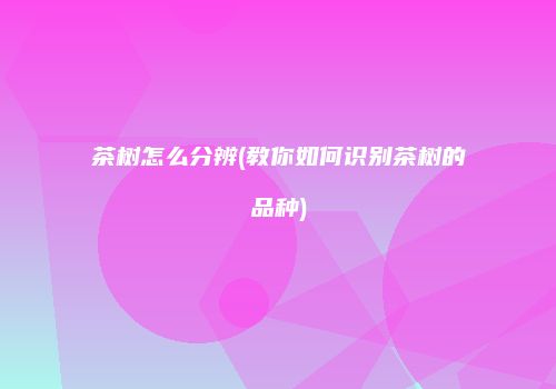 茶树怎么分辨(教你如何识别茶树的品种)