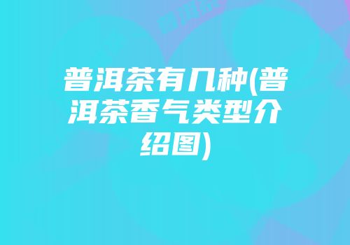 普洱茶有几种(普洱茶香气类型介绍图)