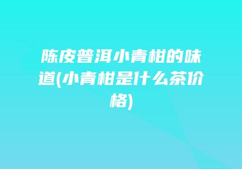 陈皮普洱小青柑的味道(小青柑是什么茶价格)
