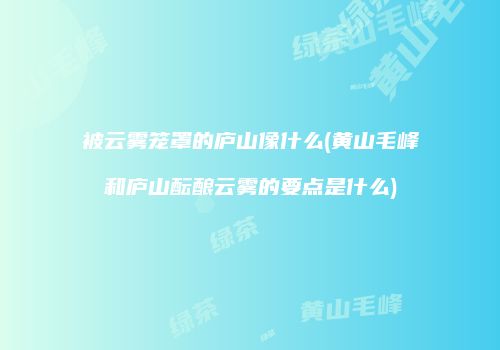 被云雾笼罩的庐山像什么(黄山毛峰和庐山酝酿云雾的要点是什么)