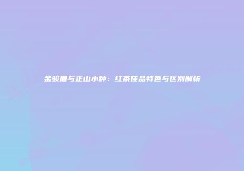 金骏眉与正山小种：红茶佳品特色与区别解析
